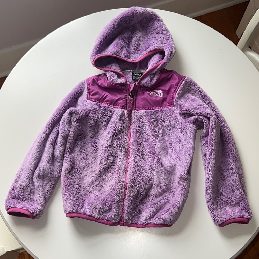 North Face Toddler hooded fleece